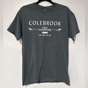 3 for $10 Colebrook New Hampshire Heather Grey Tee Shirt Medium New With Tags